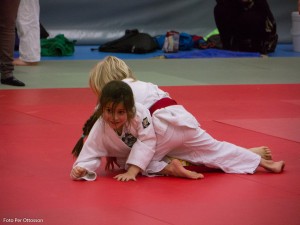 2013 03 05 - 044 Per Ottosson